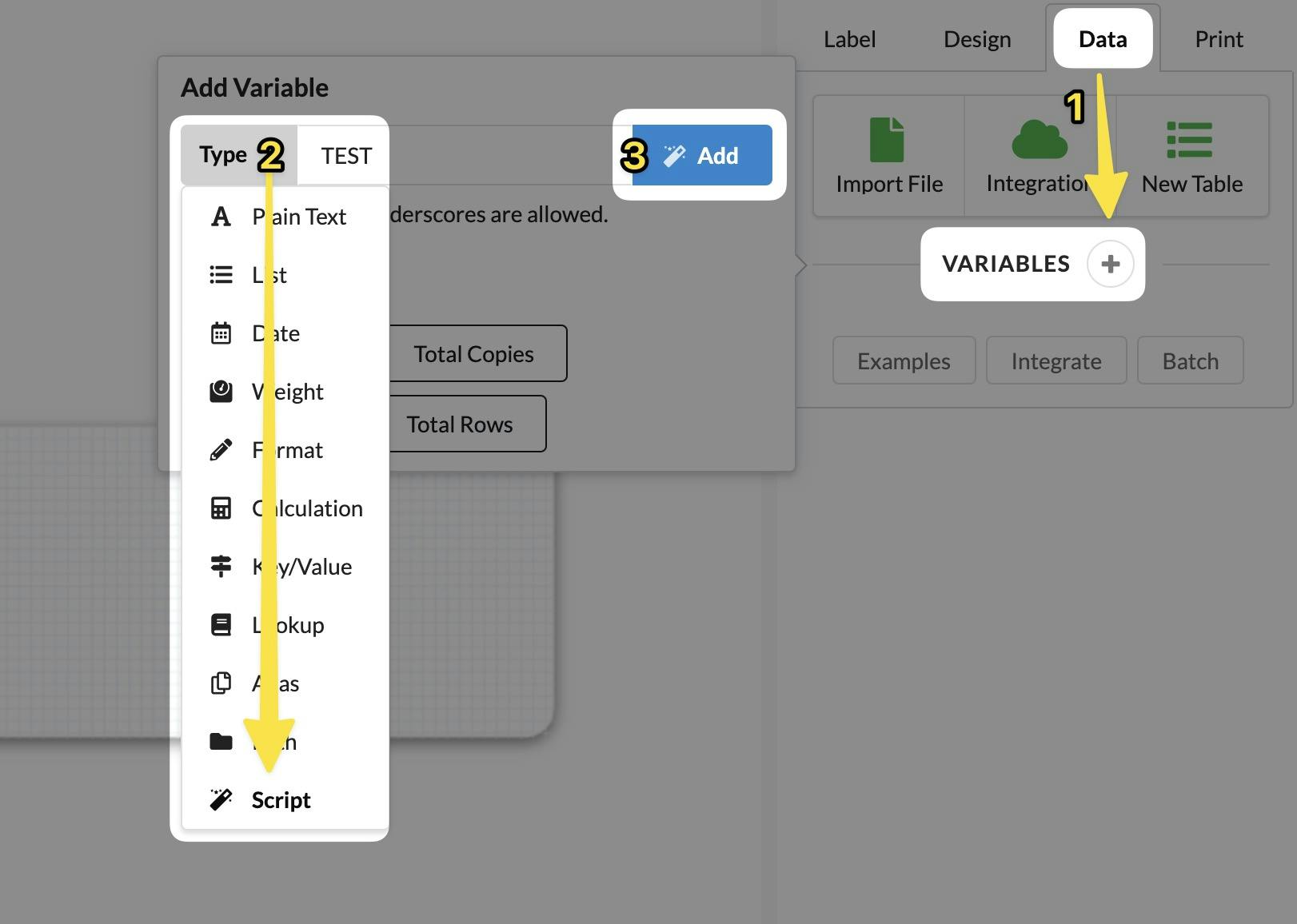 add script variable